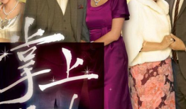 家族 电视剧,百年传承的荣耀与挑战