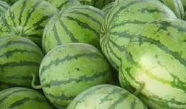 瓶子吃瓜爆料怎么做,揭秘“瓶子吃瓜”爆料背后的真相与影响