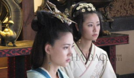 美人心计电视剧,宫廷权谋与爱恨情仇的纠葛
